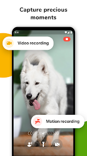 Barkio: Dog Monitor Pet Cam