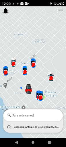 Vip 10 Passageiro Screen 3