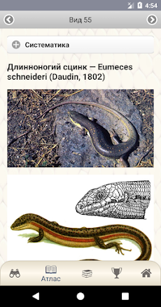 ЭкоГид: Рептилииのおすすめ画像4