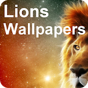 Amazing Lions Wallpapers including editor