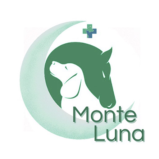 Monte Luna logo
