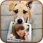 Animal Photo Frames