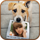 Animal Photo Frames Download on Windows