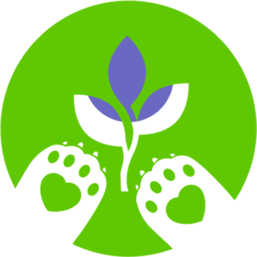 Место силы logo
