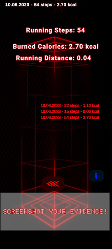 FastRun Screen 2