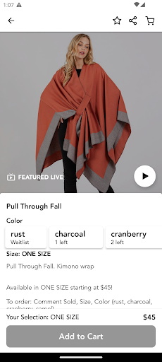 Screenshot of EPK CHIC