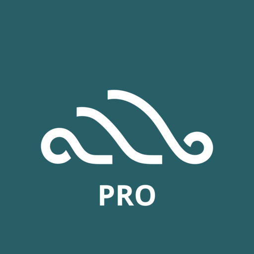 Berny Pro logo