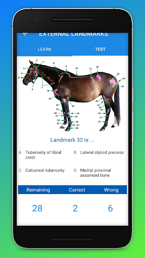 Logo https://play-lh.googleusercontent.com/BNF3RqOflWyvMH1BUWr2VdVE4TA1pq8ez_MnC_QobyZPZ4Y60vyyv2RFC4LJvlfp4oQ