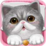 Cover Image of Download Cat Sweetie  APK