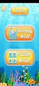 Ocean Learning Puzzle