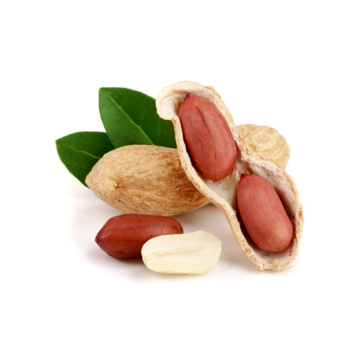 Phule Groundnut logo