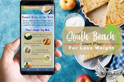 South Beach Diet Plan Beginners Guide