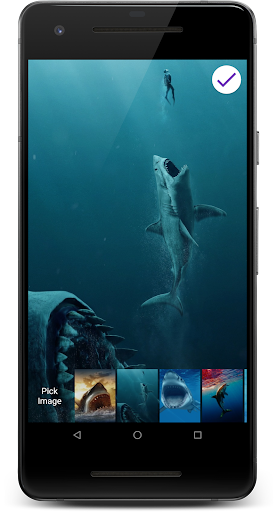 Great White Shark HD Lock Scre