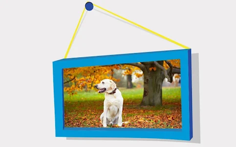 Picture Puzzle: Labrador Retri