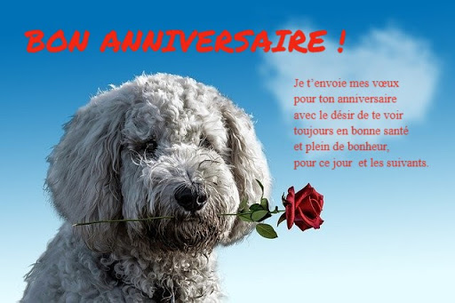 Android application Happy birthday screenshort