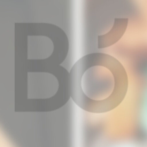 Bó burger & fries logo