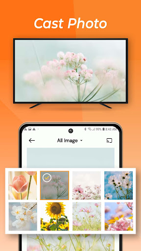 Cast to TV: Screen Mirroring screenshot