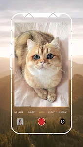 Wallpaper Kucing Lucu