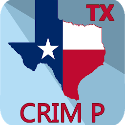 Icon image Texas Code Criminal Procedure