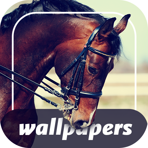 Horses Cool Wallpapers 3.0.0 Icon