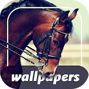 Horses - free wallpapers and backgrounds 4K  Icon