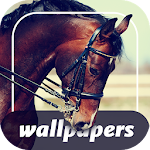 Your  Horses Wallpapers 4K Apk