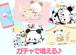 壁紙きせかえ もちもちぱんだ Google Play のアプリ