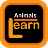 Learn English Urdu Animals Kid icon
