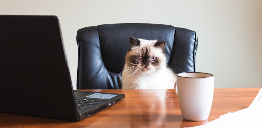 V2++ - 创意工作者们的社区