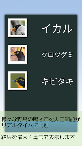 BIRD RADAR Screen 2