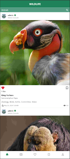 WILDLIFE Screenshot