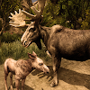 Ultimate Moose Simulator icon