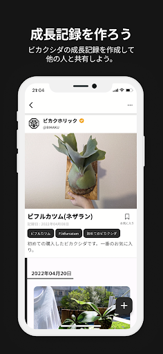 ビカクホリック Screen 3