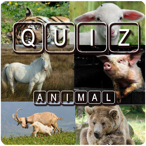 Animal Quiz