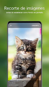 Imágen 4 Fondos de pantalla con gatos android