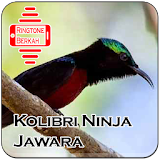 Master Kolibri Ninja Jawara icon