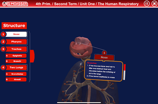 Respiratory System Screen 3