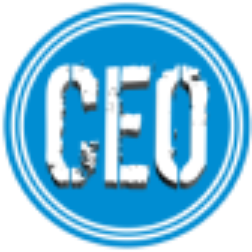 CEOCABS Driver Profit On Wheel