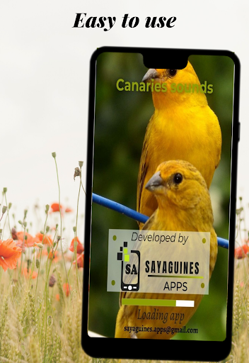 Android application Canary bird sounds screenshort