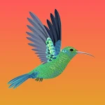 Cover Image of Download Troubled Bird  APK
