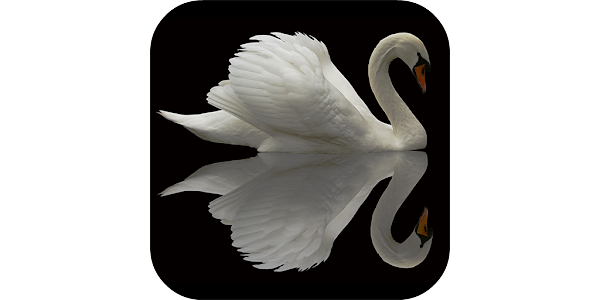 Cisne Fondos pantalla animados - Aplicaciones en Google Play