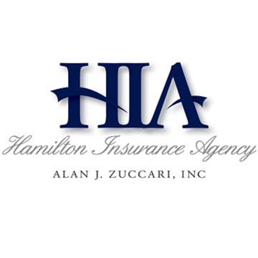 Hamilton Insurance Online logo