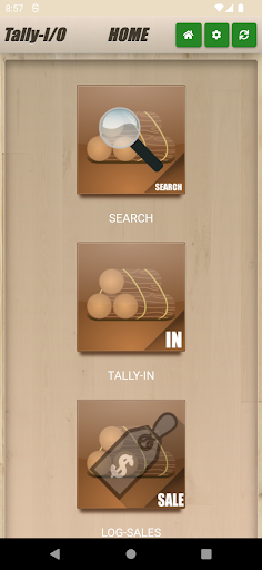 Tally-In Screen 2