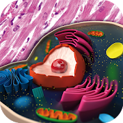 Top 15 Medical Apps Like Memorix Histology QUIZ - Best Alternatives