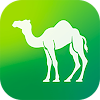 Camel Live