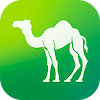 Camel Live