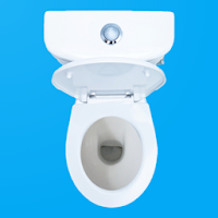 Toilet Flushing & Fart Sounds - Virtual Toilet