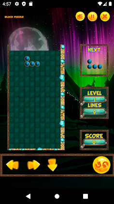 Block Puzle - Screenshot 4