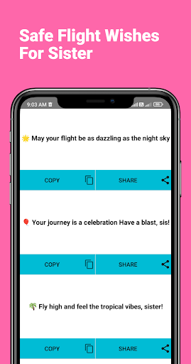 Safe Flight Wishes For Sister