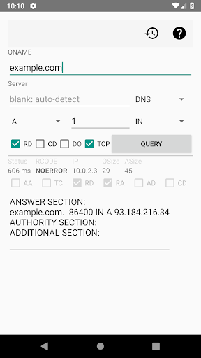 DNS Client for Android Screen 2